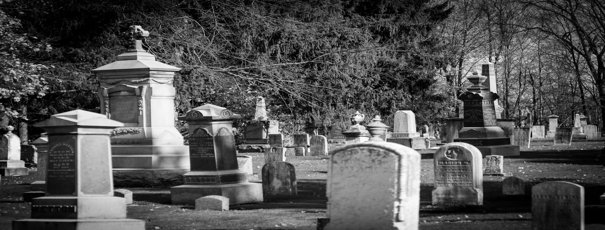 Image for Historical Haunts